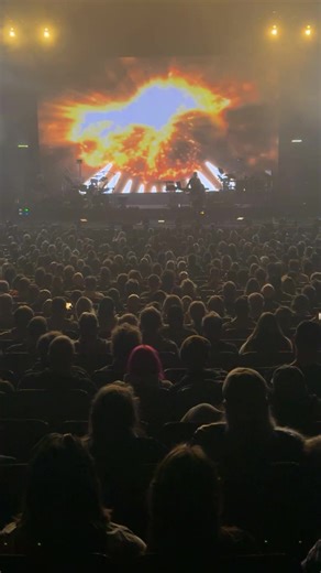 Brit Floyd - The Pink Floyd Tribute Show on Reels