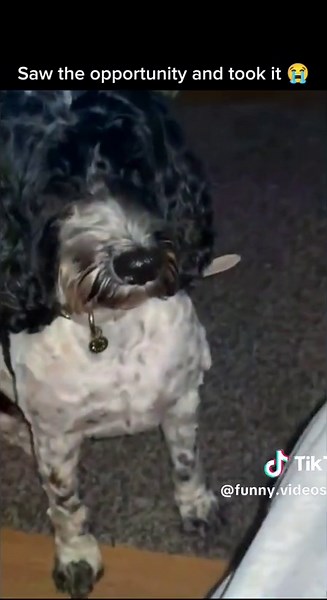 Voorgestelde accounts