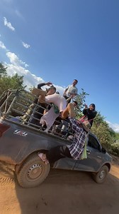 Never forget to have fun. | Wah Fish Paste