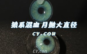 【CY.con测评】狼系混血月抛 深瞳也显色！
