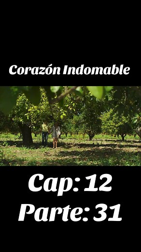 #corazonindomable #telenovelas #maricruz #octavio #parati