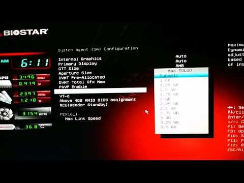 BTC 250 PRO biostar setting