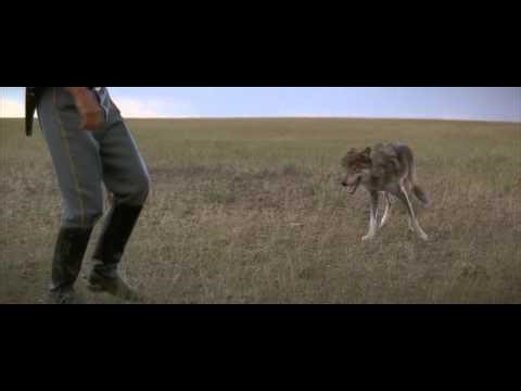 Dances with Wolves (1990) - Two Socks Scene | Mikael J. Boson