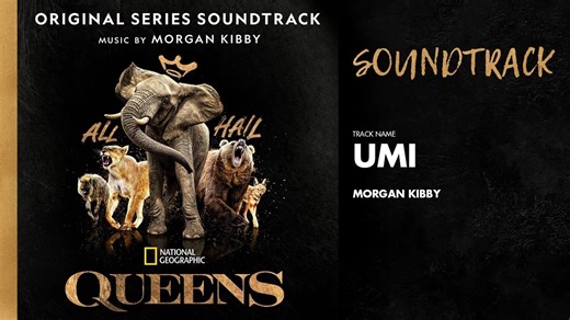 Queens (Original Series Soundtrack) _ Alewya-纪录片《QUEENS(大自然的女王)》