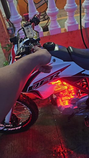 Defensores de Serpientes: El Papel de los DFR