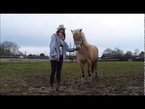 Tuto 4 dressage comment apprendre la valse ou le demi tour à sont poney cheval ou âne