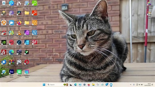 How to Enable Middle Mouse Button on a Touchpad Using Windows 11