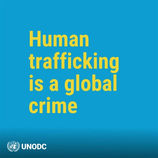 Organized crime runs global, violent trafficking networks. Different laws and priorities between countries make them hard to stop. Strong cross-border coordination, intelligence sharing and targeting criminal finances are vital to dismantle networks and deliver justice. #EndHumanTrafficking | UNODC - United Nations Office on Drugs and Crime