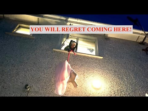 BABYSITTING FOR 24 HOURS!