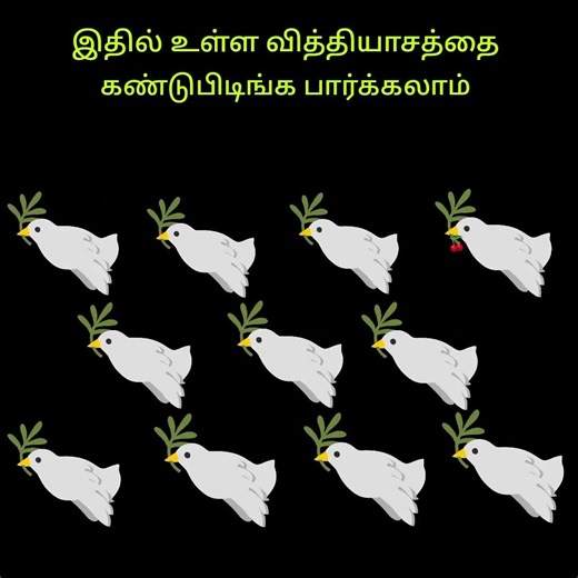 கண்டுபிடிங்க பார்க்கலாம்...
