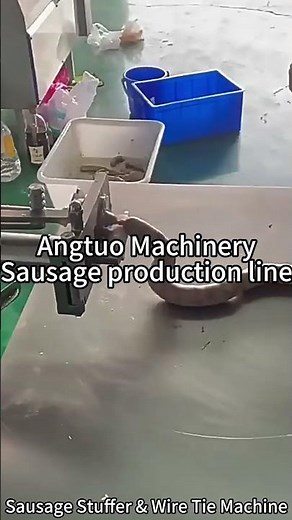 Sausage Production Line | Efficient Machines for Perfect Sausage Making
