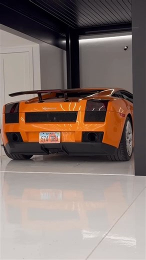 Oskar The Stradman’s Dog on Instagram: "#amazing in every way ! @anna.awesome_official #lamborghini #stradman #car #carlover"