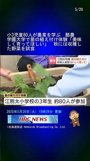 小3児童80人が農業を学ぶ 酪農学園大学で苗の植え付け体験「美味しく育ってほしい」 秋には収穫した野菜を試食 #Shorts