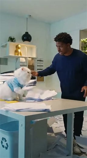 Office Cat's "Printer Fix" Goes Wild!