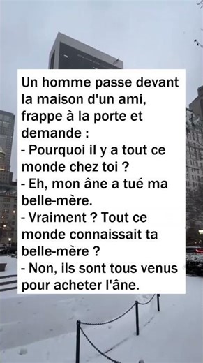 Un âne très demandé 🤣#shorts #humour #blague #drôle #rire #france