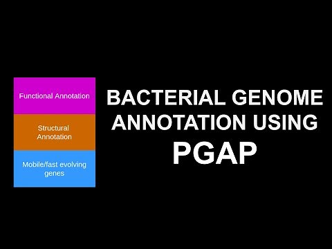 Genome Annotation using PGAP | BIoinformatics for Beginners