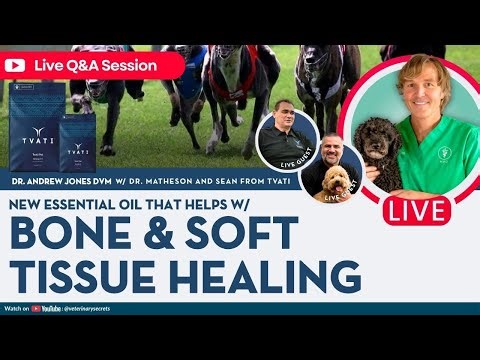 New Essential Oil That Helps with Bone and Soft Tissue Healing! | With Tvati's Dr. Matheson & Sean