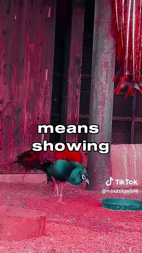 Meaning of the Color Red: Symbolism, Passion, and Energy