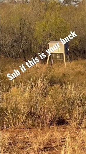 A big 10 point buck#buck#10point#crazy#hunting#viral#shortvideo