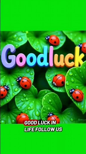 Ladybug Colors: Meanings & Symbolism.