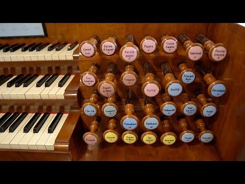 A MILE-LONG TRACKER ACTION WITH BARKER LEVERS | French-German Organ in Debrecen HU | Bálint Karosi