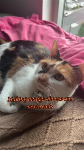 ally + alexia! on TikTok