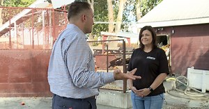 Cooling inflation stabilizes prices at Louisburg Cider Mill