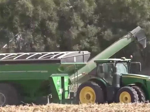 Iowa farmers push through low prices as harvest rolls on