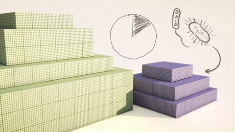 The biomass of the Earth