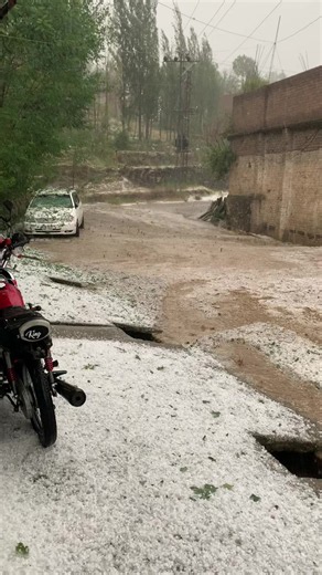 Friday Live Snowfall – Real-Time Snowfall Video