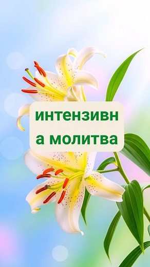 Moćna molitva: Gospode Isuse, dolazim pred Tebe sa poniznim i pokajničkim srcem. Molim Te da mi oprostiš sve moje grehe i iskreno Te molim za Tvoju milost. Molim Te, oprosti mi. Spreman/na sam oprostiti onima koji su me uvredili. Odričem se svake zle i mračne sile. Gospode Isuse, potpuno se uzdam u Tebe, od sada pa zauvek. Pozivam Te u svoj život da budeš moj Gospod i Spasitelj. Molim Te: izleči me, promeni me, ojačaj moj duh, dušu i telo. Gospode Isuse, molim Te da me pokriješ Tvojom dragocenom