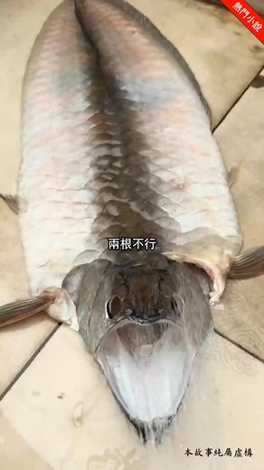 現代中醫學徒穿越到遠古獸世，成了生不出幼崽的小廢雌。 追求者們遠離她，喜歡的雄性也轉頭與別的雌性結情侶。 誰知成年祭上，本是廢雌的她，卻成了頂級聖雌。 雄性們紛紛找上門。 雲嬌卻來到最不受雌性歡迎的蛇獸人面前：“你願意做我第一獸夫嗎？” 多年後… 冷酷拽拽的蛇族獸人，執著敏銳的貓族獸人，勇敢正直的鷹族獸人，霸氣溫柔的虎族獸人，綠茶人魚齊坐一堂異口同聲：“今晚明明輪到我了。” ----------------------------------------------------第1章 穿越獸世，成為廢雌 「別、動…兩根太滿了…」 蛇獸人叼著雲嬌的脖頸啞聲哄誘， “乖……這不是都吃下去了嗎？” 穿越獸世後，蛇王成了雲嬌的第一獸夫， 他總愛用它蛇族獨有的兩根給她雙倍的快樂。 今天已經是雲嬌穿到獸世的第二十天了，她忍不住的嗚咽起來。 她本是現代一個中醫學徒，每天起早貪黑埋頭苦讀，跟師五年，好不容易可以參加出師考試了，結果在去考試的路上過馬路時，被一輛車撞死了。 等她再次睜開眼，就穿越到了這個只有獸人的世界，成了群獸部落裡一個同名的倉鼠雌性雲嬌。 雲嬌雖是弱小的倉鼠，但她老媽是雪狐，基因好，長