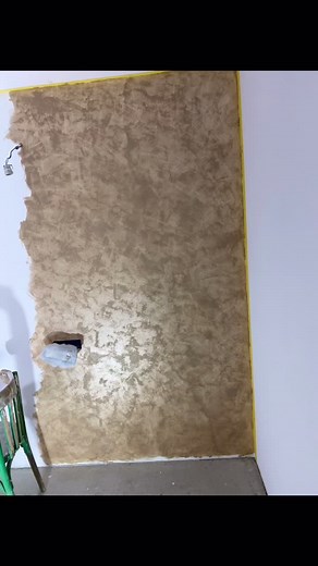 Alin Manoliu pe TikTok