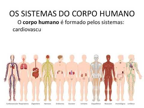 Os Sistemas do Corpo Humano