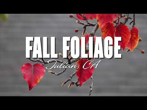 Fall Foliage: Julian, CA