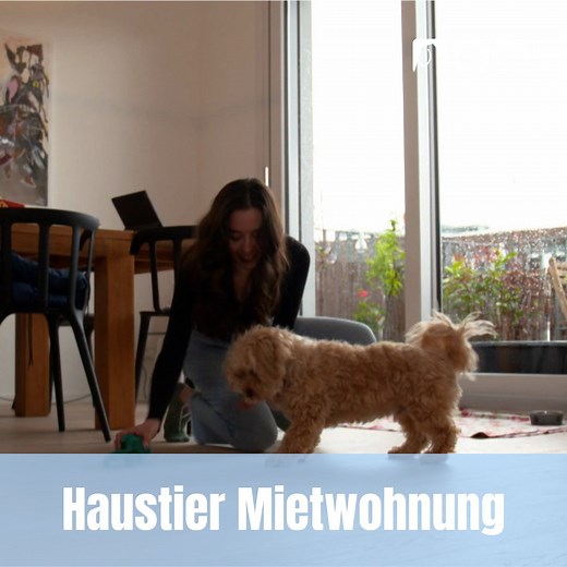 6.2K views · 66 reactions | Laut einer Statistik von 2021 wohnt in 47...