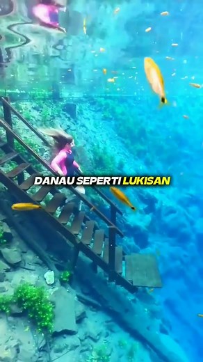 Danau Sebening Kaca #shorts #faktamenarik #danau #hutan #water