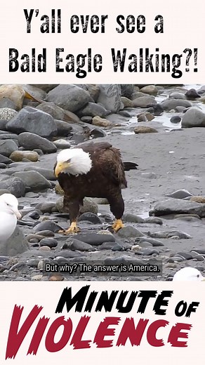 782K views · 15K reactions | On this week's episode of Minute of Violence - Marky Mike 19! | Grunt Style | Facebook