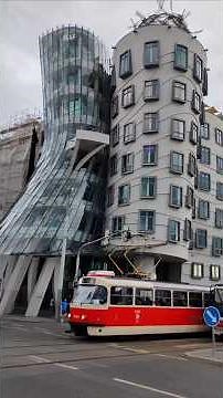 InShot 20251120 093556760