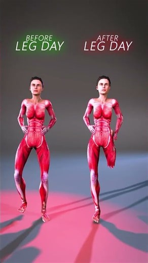 Leg Day Success: Warm-Up vs. Stretch – Do Both for Maximum Gains! 💪🔥