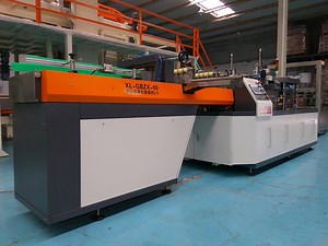 [Hot Item] Wraparound Case Packer for Carton Beverage