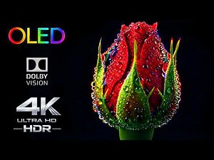 Only 1% See True 4K HDR | Dolby Vision OLED 120FPS Test