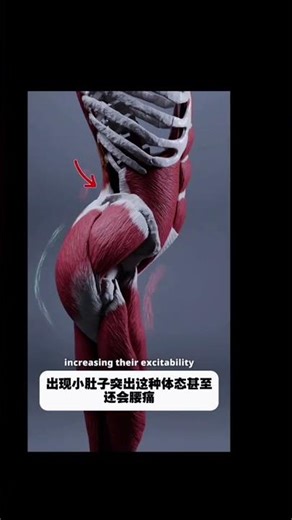 Easy Exercises to Alleviate Low Back Pain and Muscle Strain