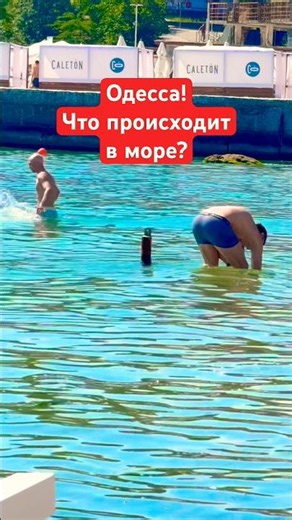 ОДЕССА❗️ЧТО ПРОИСХОДИТ В МОРЕ❓#SHORTS #SHORTVIDEO #ODESSA #ОДЕССА #SHORT #SHORTSVIDEO