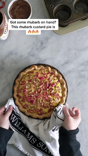Delicious Rhubarb Custard Pie Recipe