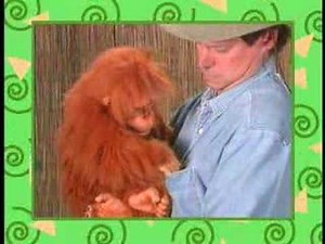 Amazing Apes Puppets by Axtell