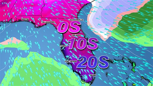 Prolonged cold snap brings coldest airmass since 2010 to Tampa Bay