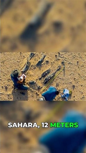 Scientists Shocked by This Massive Desert Discovery #discovery #shorts #prehistoric