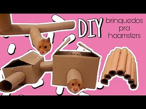 Brinquedos de papelão para hamster | DIY