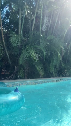 At aquatica!! Its so pretty here!! #tampa #orlando #aquatica #fyp #fypage #fypシ